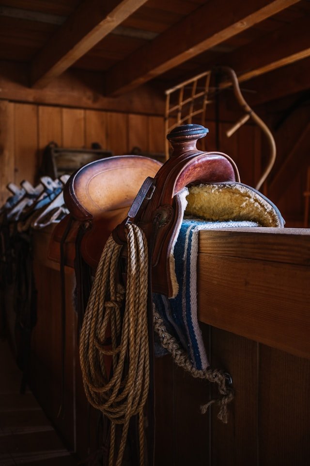 Horse Saddle - Photo by Ashim D’Silva