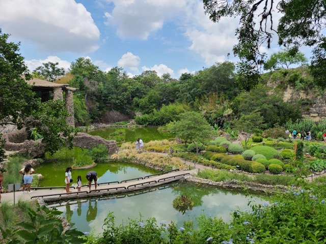 Japanese Tea Garden, San Antonio, TX, USA - Photo by Monica M