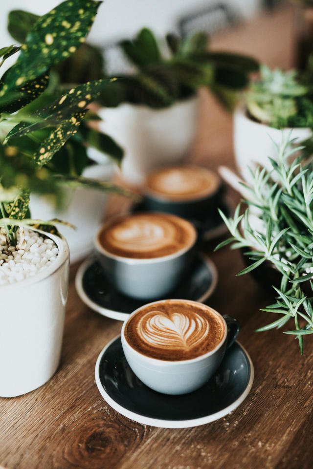 Coffee for community, friendship, and deep rooted relationships - Photo by Nathan Dumlao