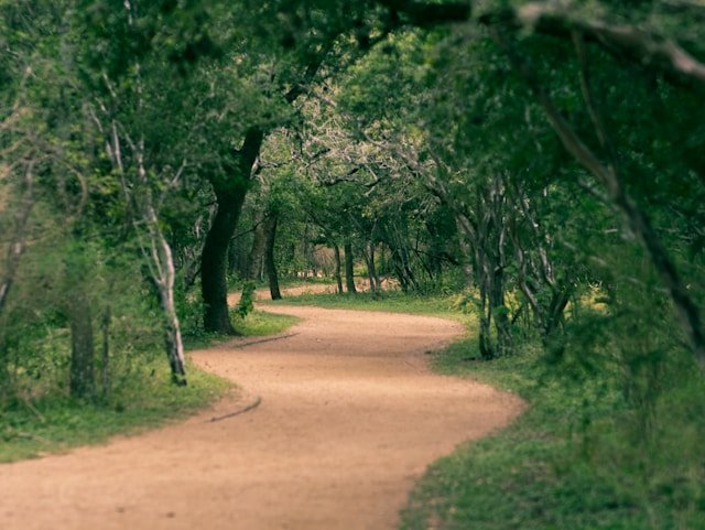 Park Path - Photo by Nick Rogers on Unsplash